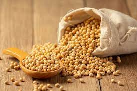 Kacang Kedelai